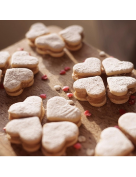 Suculenta + Alfajores Mariáte..