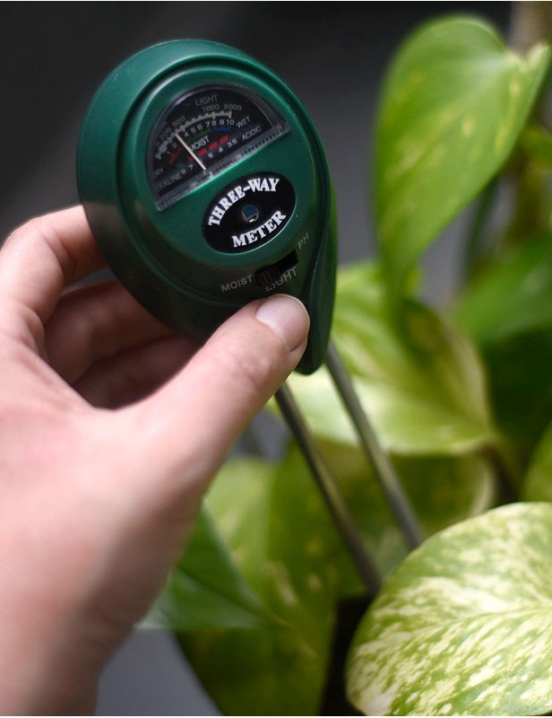 Descubre el nuevo medidor de humedad para tus plantas en Lidl